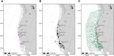 Biologically Important Areas II for cetaceans within U.S. and adjacent waters - West Coast Region